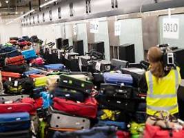 Vier Betroffene in Frankfurt: Mitgereiste Mücke infiziert Airport-Mitarbeiter mit Malaria