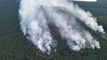 brand im müritzer nationalpark breitet sich aus – sorge vor giftigen gasen