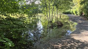 rätsel um plötzlich riesigen studenten-teich: das könnte der grund sein