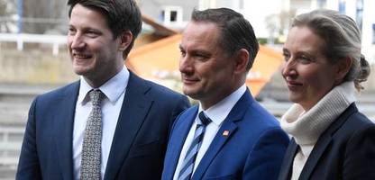 afd in nrw: interne chats befeuern machtkampf um alice weidel