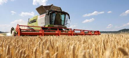 Unwetter, Trockenheit und schlechte Preise: Bayerns Bauern stehen unter enormem Druck