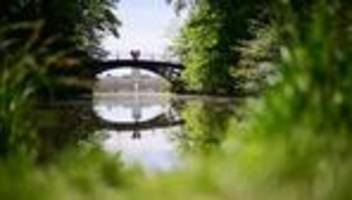 Parkanlagen als Ausflugsziel: Stiftung warnt: Trockene Bäume in Parks gefährden Besucher
