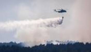 Waldbrand im Müritz-Nationalpark: Weiter keine Entwarnung bei Waldbrand im Müritz-Nationalpark