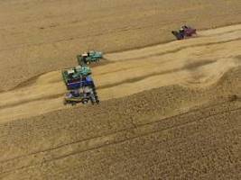 alles steht still: russlands landwirte kämpfen mit treibstoffkrise