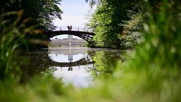 Stiftung warnt: Trockene Bäume in Parks gefährden Besucher