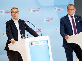 afd nordrhein-westfalen: wie die afd-spitze versucht einen machtkampf zu schlichten