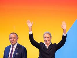 debatte: die stunde der dilettanten