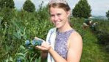 Strauchbeeren: Beerenpflücken mit Prinzessin