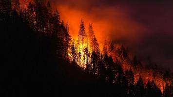 Waldbrand-Rauch aus Kanada belastet US-Städte – Trump droht mit neuen Strafzöllen