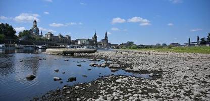 Elbe: Güterschiffe stehen wegen Niedrigwasser wohl bis September still