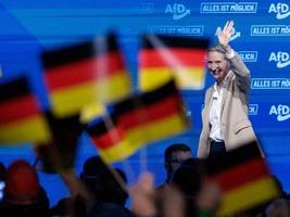 afd-wahlkampfauftakt sachsen-anhalt: alice weidel will gute laune verbreiten, doch in der partei brodelt es