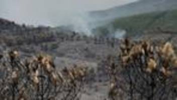 Kampf gegen Flammen: Großer Waldbrand bei Madrid außer Kontrolle