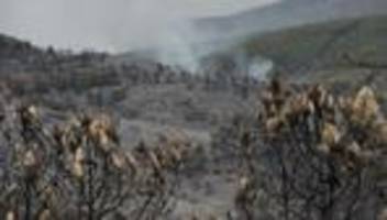 Spanien: Waldbrand nördlich von Madrid zerstört mehr als 13.000 Hektar