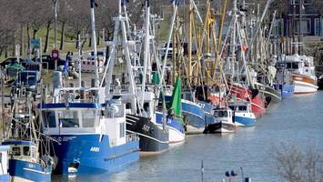 nordsee ohne fischfang: für wwf und nabu ist die geplante schutzzone zu klein