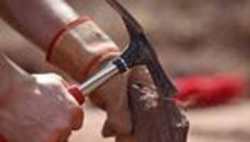 Fossilien: Das wurde dieses Mal auf der Ursaurier-Fundstelle entdeckt