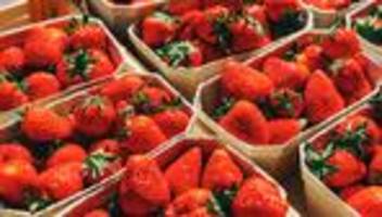 Landwirtschaft: Schlechte Ernte für Erdbeeren und Spargel