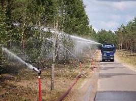 Keine dauerhafte Entwarnung: Waldbrand im Müritz-Nationalpark ist gelöscht