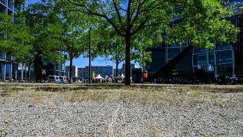 Berlin will mehr Straßenbäume – doch die Sache hat einen Haken