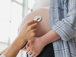 leihmutterschaft: besser eine familie als keine familie