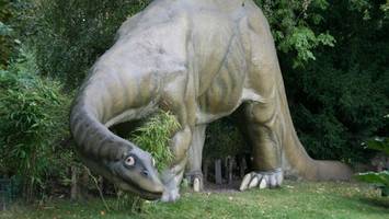 Sorge in Hamburgs Tierpark: Sterben die Dinosaurier bei Hagenbeck aus?