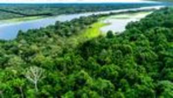 Brasilien: Waldbrände im Amazonasgebiet 2025 auf tiefstem Stand seit Jahrzehnten