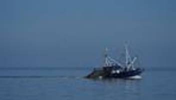 Fischereidialog: Niedersachsen plant fischereifreie Zonen in der Nordsee