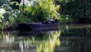 Gesundheitsgefahr: Eichenprozessionsspinner: Sperrungen im Spreewald gelockert
