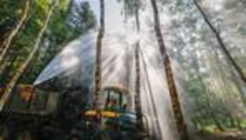 größeres risiko für feuer: drohen in nrw verheerende waldbrände wie in spanien?