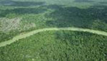 Umwelt: Amazonas: So wenig Waldbrände wie seit 40 Jahren nicht