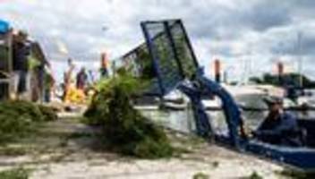 umwelt: mit booten und mistgabeln gegen die wasserpest
