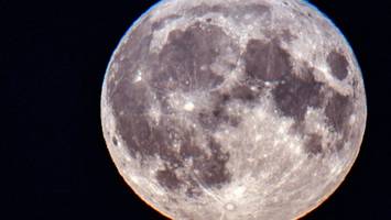 SpaceX-Rakete droht Kollision mit dem Mond – Nasa-Sonde soll Klarheit schaffen