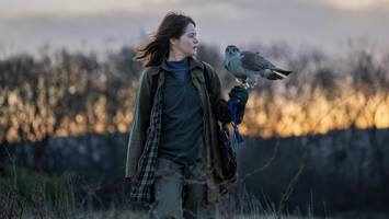 Diese Frau hat einen Vogel: „H wie Habicht“
