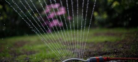 Pro und Contra: Trotz Wassermangel den Rasen sprengen?