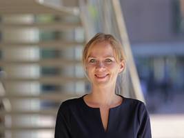 afd: die demokratie zahlt für ihre demontage