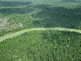 Immer noch Millionen Hektar: Am Amazonas ist so wenig Wald abgebrannt wie seit 40 Jahren nicht