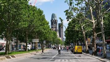 Berlin will mehr Bäume: Senat sieht sich auf gutem Weg – aber stimmt das auch?