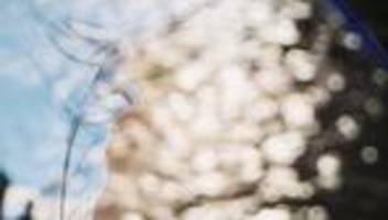 Brain Fog: »Brain Fog ist ein Signal, dass etwas nicht stimmt«