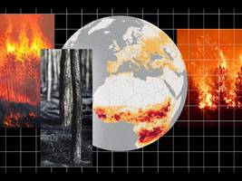 umwelt: es brennt dort, wo es keine waldbrände geben sollte
