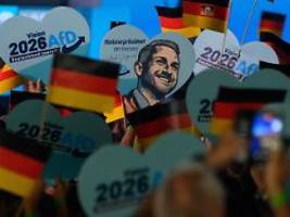 Keine Wirtschaftspartei: Wirtschaftsverbände warnen eindringlich vor AfD-Plänen