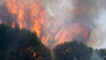 waldbrand in spanien außer kontrolle: tausende menschen nahe madrid evakuiert