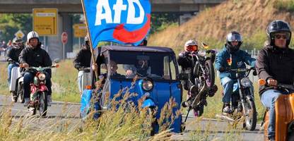 afd: das könnte sie eine rechtsextreme bundesregierung kosten – vor allem in sachsen-anhalt