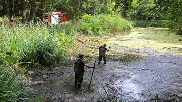 Mysteriöser Mordfall auf Sylt: Polizei fischt in einem Teich nach Beweisen