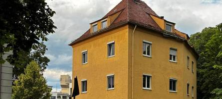 schreckmoment durch unwetter: schon wieder fällt ein baum nahe der kahnfahrt um