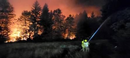 Waldbrandgefahr in Bayern: In diesen Regionen ist am Wochenende Vorsicht geboten