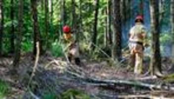 großeinsatz: waldbrand bei meschede: landwirte helfen mit güllefässern