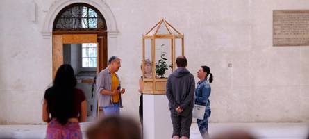 geheimnisvolle teepflanzen und koloniale schatten: kunst-installation in augsburger kirche
