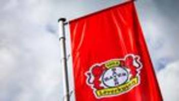 fußball-bundesliga: leverkusen verpflichtet abwehrtalent erlein aus hoffenheim