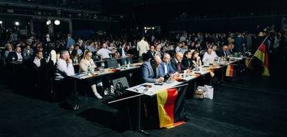AfD: So drängen prominente Politiker auf ein AfD-Verbotsverfahren