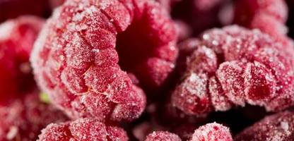 auch aldi und netto rufen tiefkühlbeeren zurück