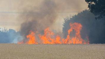 feld gerät bei ernte in brand – feuerwehr rückt mit großaufgebot an